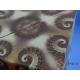 XingLe Shape Shifting Box 3D Magnetic Octopus